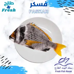 Faskar Fish Meal